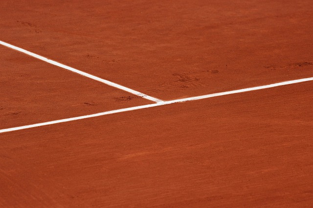 ジョコビッチ優勝 生涯gs のための大会だった全仏 16総括 庭で球を蹴る