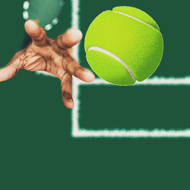 全豪オープン16 錦織圭のツォンガ戦までの感想 庭で球を蹴る
